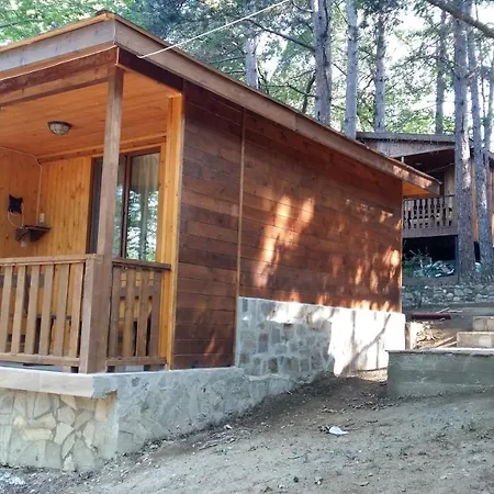 Guest house к-г луна к-с лонгоза комплекс лонгоза