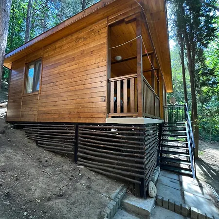 к-г луна к-с лонгоза комплекс лонгоза 3*